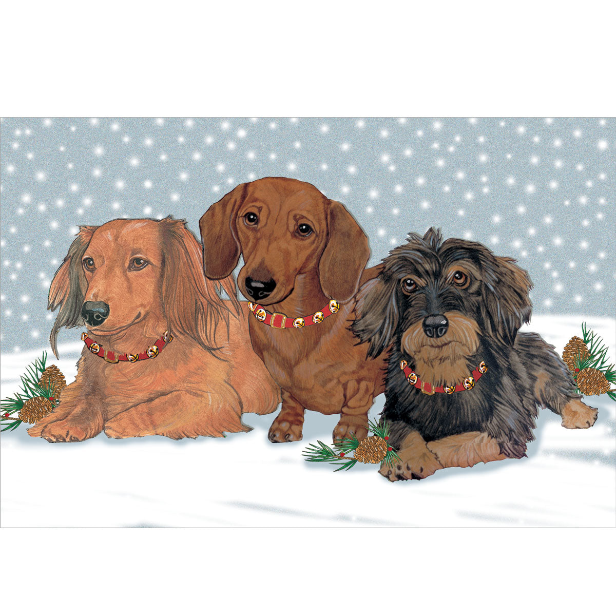 Dachshund Christmas Cards Set of 10 cards & 10 envelopes - Pipsqueakproductions