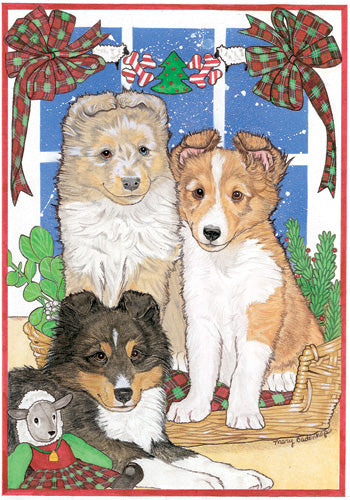 Sheltie Shetland Sheepdog Christmas Cards Set of 10 cards & 10 envelopes - Pipsqueakproductions