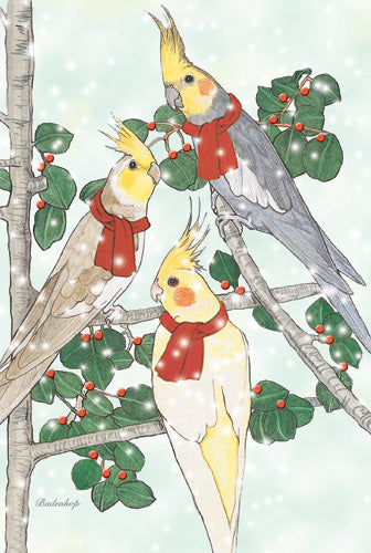 Cockatiel Bird Christmas Cards Set of 10 cards & 10 envelopes - Pipsqueakproductions