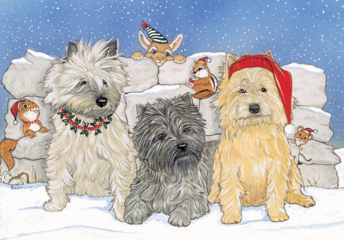 Cairn Terrier Christmas Cards Set of 10 cards & 10 envelopes - Pipsqueakproductions