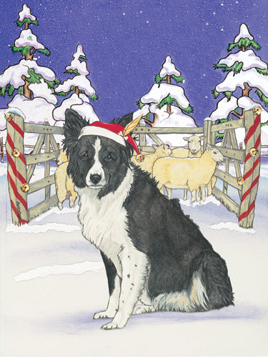 Border Collie Christmas Cards Set of 10 cards & 10 envelopes - Pipsqueakproductions