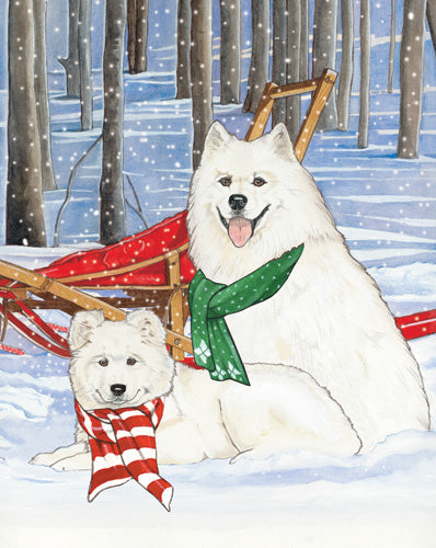 Samoyed Christmas Cards Set of 10 cards & 10 envelopes - Pipsqueakproductions