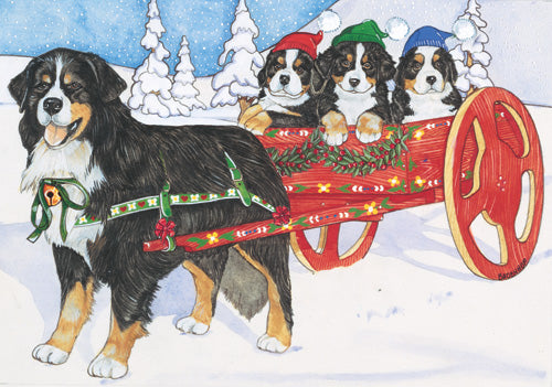 Bernese Mountain Dog Christmas Cards Set of 10 cards & 10 envelopes - Pipsqueakproductions