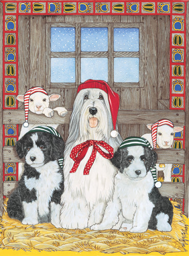 Bearded Collie Christmas Cards Set of 10 cards & 10 envelopes - Pipsqueakproductions