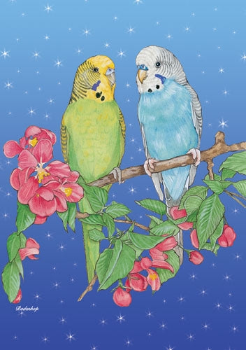 Parakeet Budgie Parrot Christmas Cards Set of 10 cards & 10 envelopes - Pipsqueakproductions