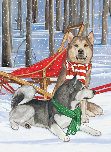 Alaskan Malamute Christmas Cards Set of 10 cards & 10 envelopes - Pipsqueakproductions