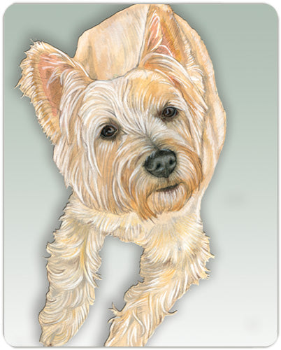 Cairn Terrier Cutting Board Tempered Glass, Pet Placemat, 11.5" x 15.5" - Pipsqueakproductions