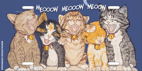 Cat License Plate, Car Accessory, Auto Tag, Bedroom Sign, Fun Cat Lover Gift - Pipsqueakproductions