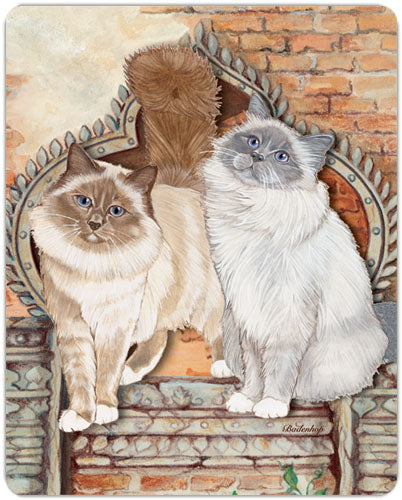 Birman Cat Cutting Board Tempered Glass, Pet Placemat, 11.5" x 15.5" - Pipsqueakproductions