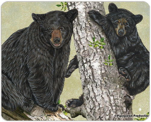 Black Bear Cutting Board Tempered Glass, Pet Placemat, 11.5 “ x 15.5” - Pipsqueakproductions