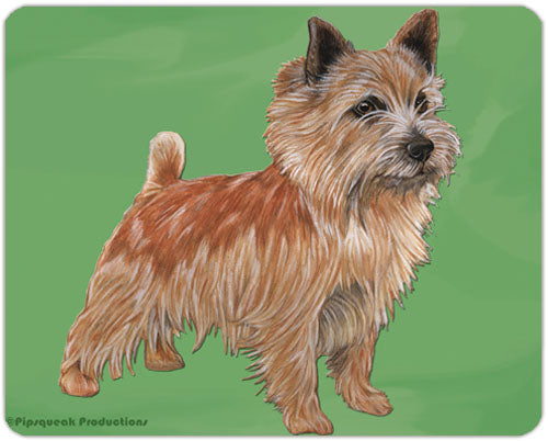 Norwich Terrier Cutting Board Tempered Glass, Pet Placemat, 11.5 “ x 15.5” - Pipsqueakproductions