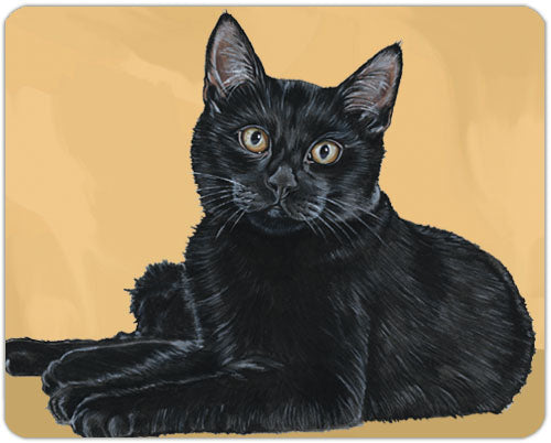 Black Cat Cutting Board Tempered Glass, Pet Placemat, 11.5 “ x 15.5” - Pipsqueakproductions