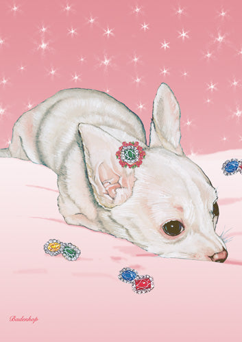 Chihuahua Blank Note Cards Boxed - Pipsqueakproductions