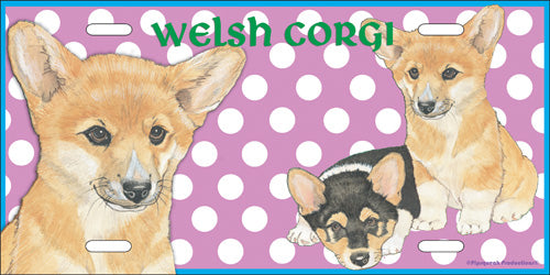Corgi Pembroke Welsh License Plate, Car Accessory, Auto Tag, Bedroom Sign, Fun Dog Lover Gift - Pipsqueakproductions