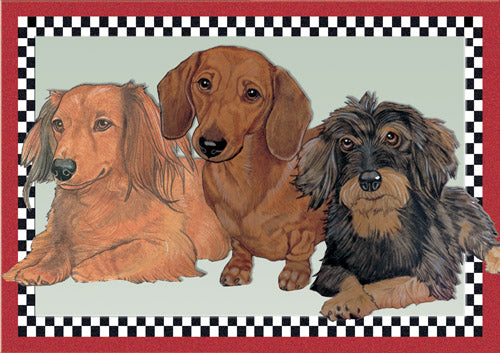 Dachshund Blank Note Cards Boxed - Pipsqueakproductions