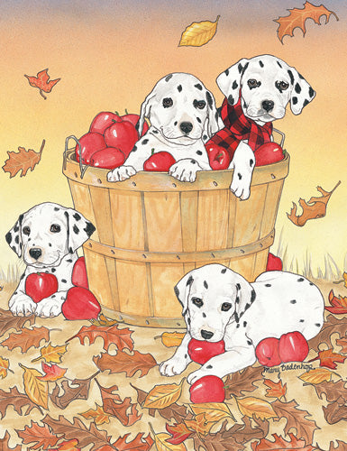 Dalmatian Blank Note Cards Boxed - Pipsqueakproductions