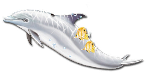 Dolphin Magnet Wooden - Pipsqueakproductions