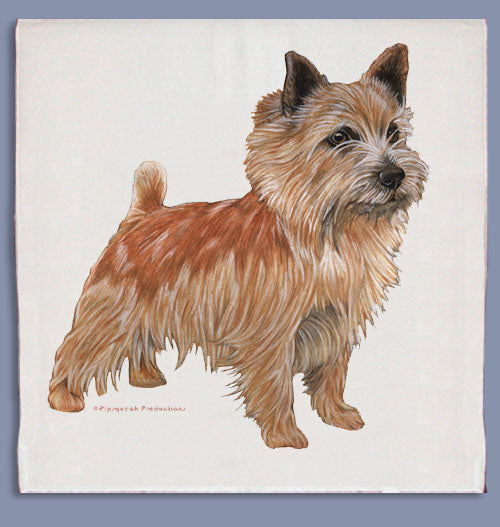 Norwich Terrier Dish Towel - Pipsqueakproductions