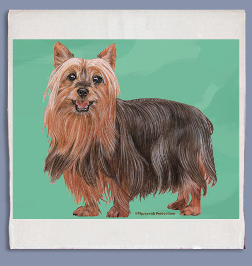 Silky Terrier Dish Towel - Pipsqueakproductions