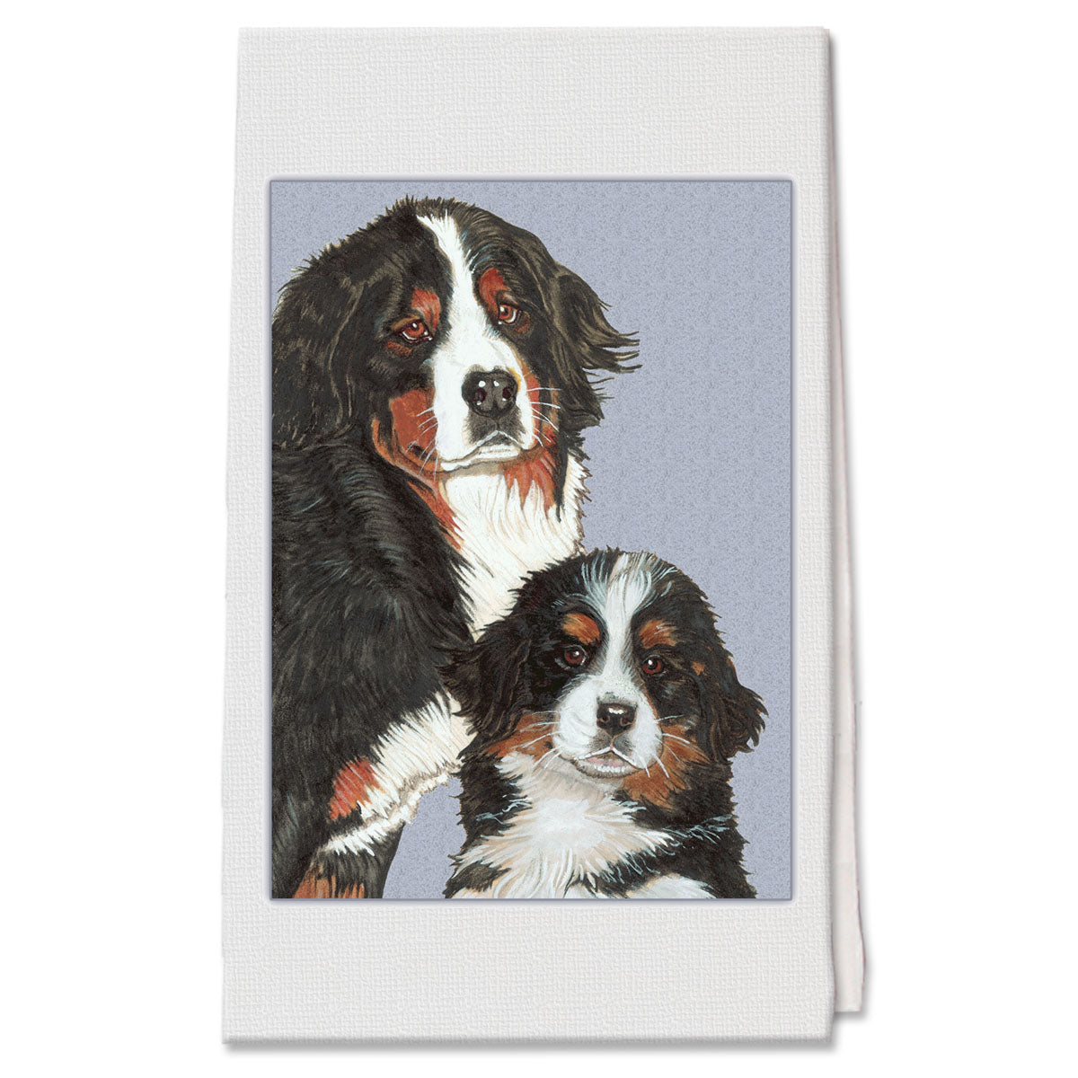 Bernese Mountain Dog with Puppy Decorative Cotton Kitchen Dish Towel, Pet Gift - Pipsqueakproductions