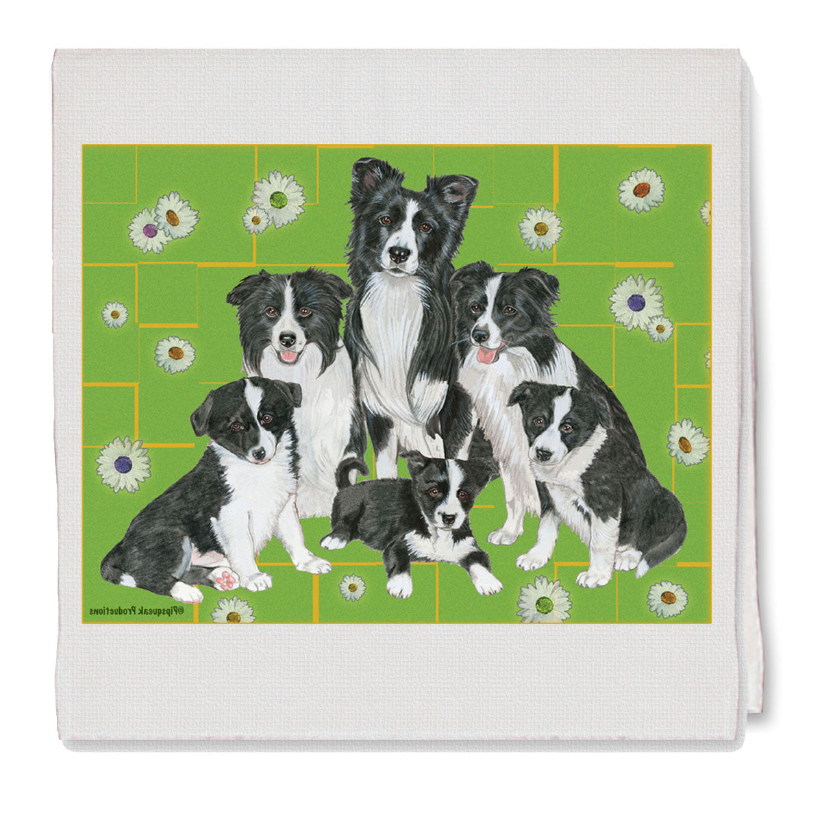Border Collie Decorative Cotton Kitchen Dish Towel, Pet Gift - Pipsqueakproductions