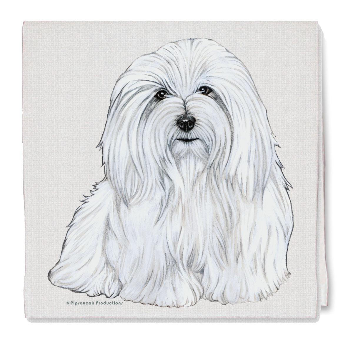 Coton de Tulear Decorative Cotton Kitchen Dish Towel, Pet Gift - Pipsqueakproductions
