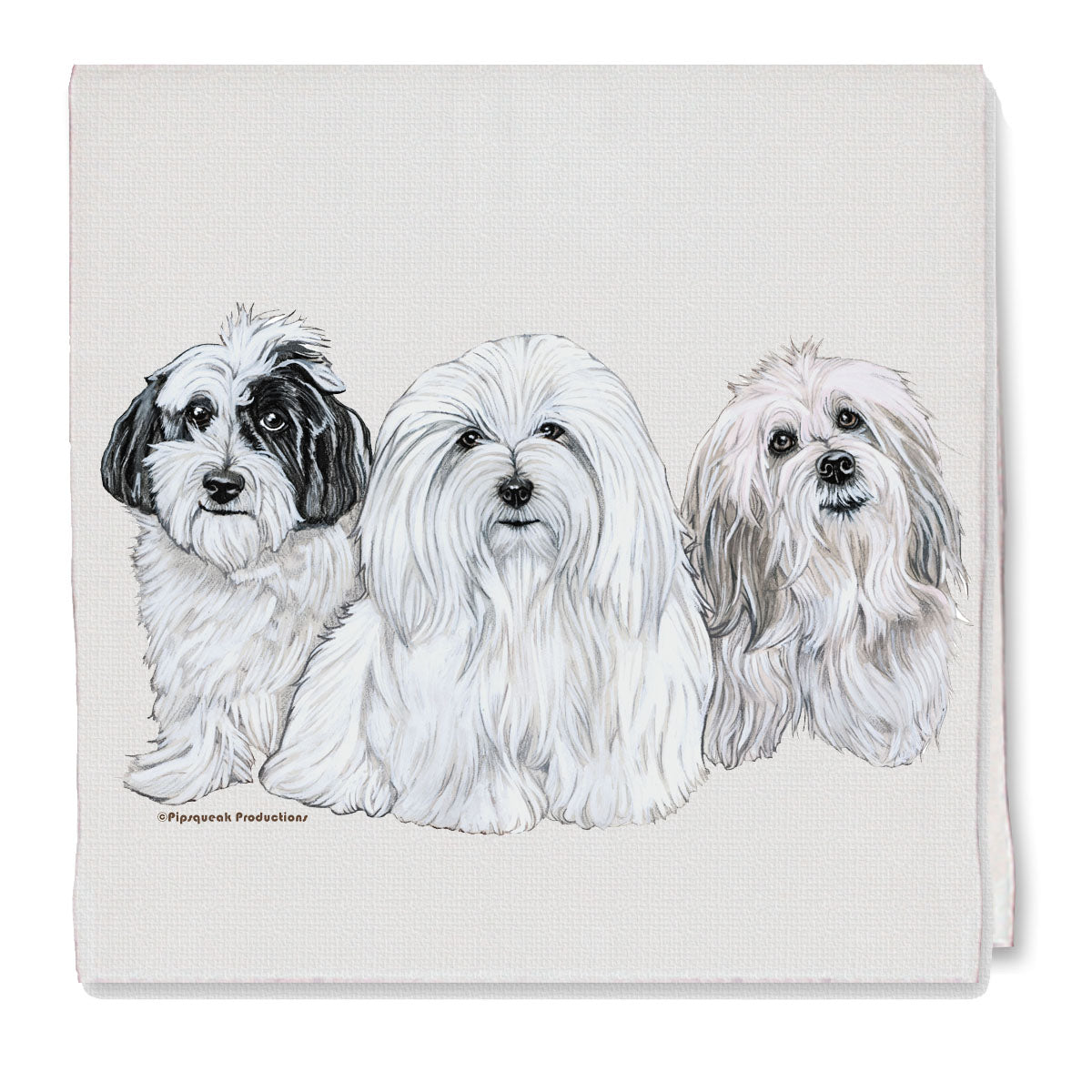 Coton de Tulear Decorative Cotton Kitchen Dish Towel, Pet Gift - Pipsqueakproductions