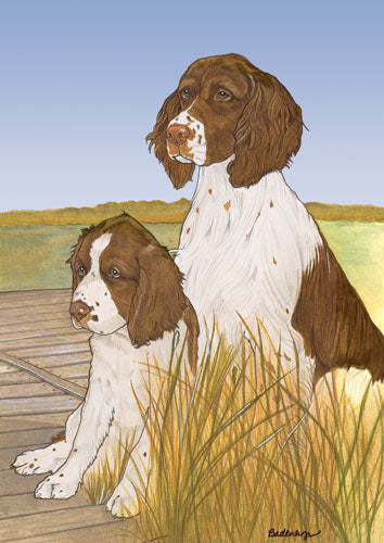 English Springer Spaniel Blank Note Cards Boxed - Pipsqueakproductions