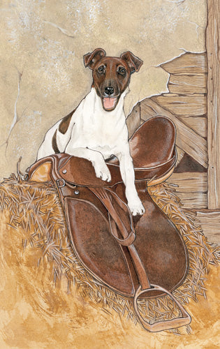 Fox Terrier Smooth Blank Note Cards Boxed - Pipsqueakproductions