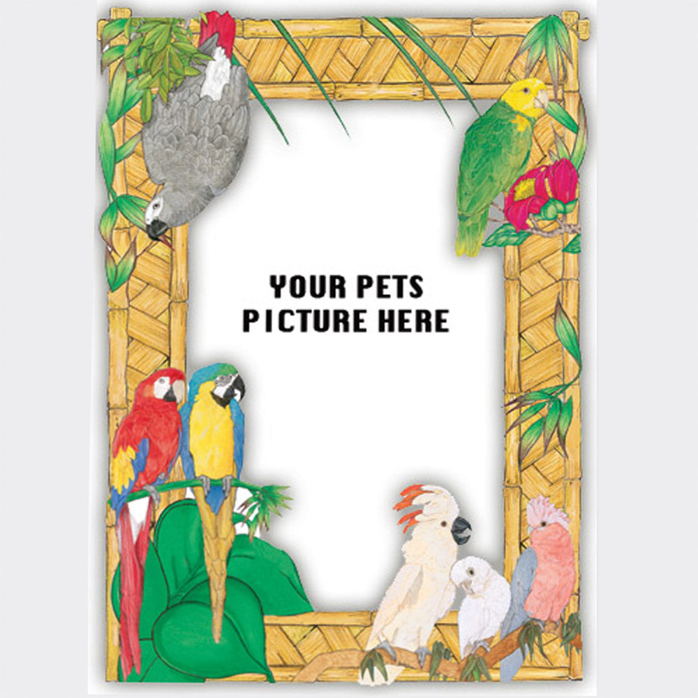 Parrot Wooden Picture Frame Die-Cut 2-Dimensional 5” x 7” Holds 4" x 6" Photo - Pipsqueakproductions