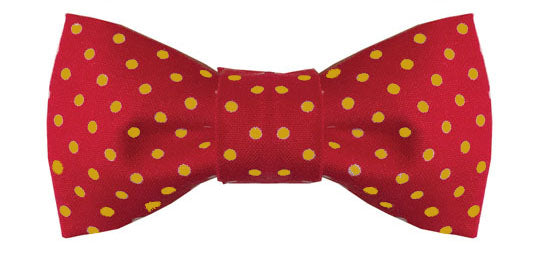 Dog Bow Tie Holiday Red with Gold Polka Dots - Pipsqueakproductions