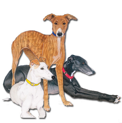 Greyhound Magnet Wooden - Pipsqueakproductions