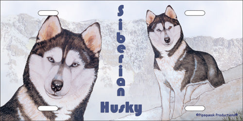 Siberian Husky License Plate, Car Accessory, Auto Tag, Bedroom Sign, Fun Dog Lover Gift - Pipsqueakproductions