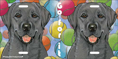 Labrador Black Lab License Plate, Car Accessory, Auto Tag, Bedroom Sign, Fun Dog Lover Gift - Pipsqueakproductions