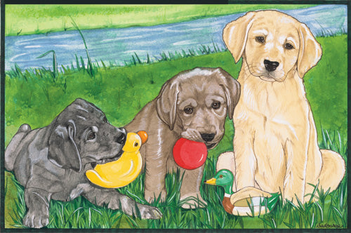 Labrador Retriever Blank Note Cards Boxed - Pipsqueakproductions