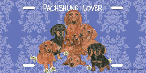 Dachshund License Plate, Car Accessory, Auto Tag, Bedroom Sign, Fun Dog Lover Gift - Pipsqueakproductions