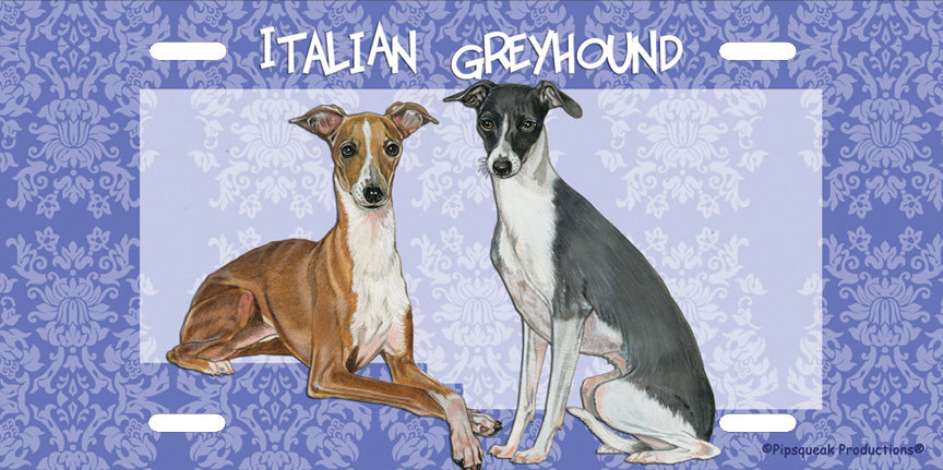 Italian Greyhound License Plate, Car Accessory, Auto Tag, Bedroom Sign, Fun Dog Lover Gift - Pipsqueakproductions