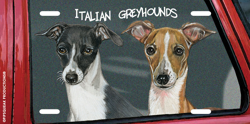 Italian Greyhounds License Plate, Car Accessory, Auto Tag, Bedroom Sign, Fun Dog Lover Gift - Pipsqueakproductions