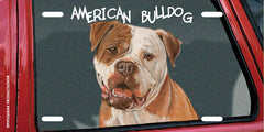 Paws License Plate Frame (Dogs, Cats & Other Pets)
