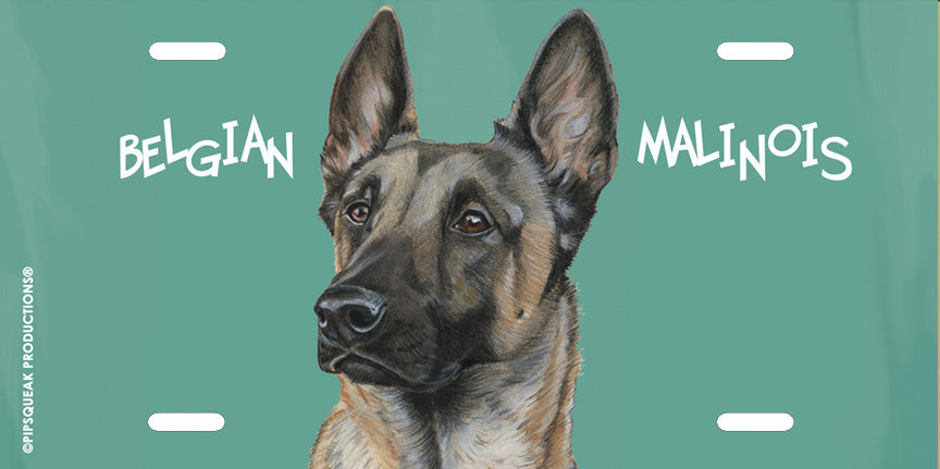 Belgian Malinois License Plate, Car Accessory, Auto Tag, Bedroom Sign, Fun Dog Lover Gift