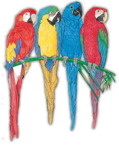 Macaw Parrot Magnet Wooden - Pipsqueakproductions