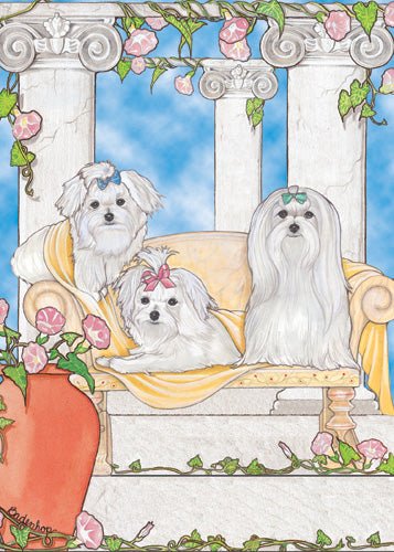 Maltese Blank Note Cards Boxed - Pipsqueakproductions