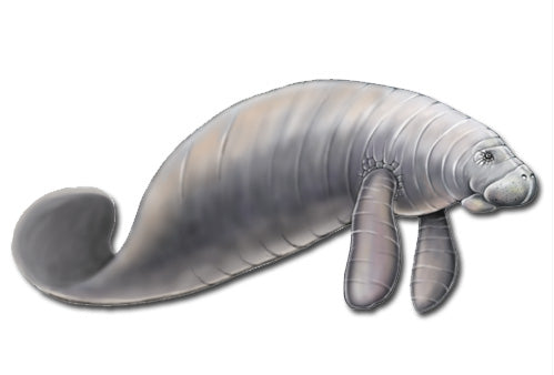 Manatee Magnet Wooden - Pipsqueakproductions