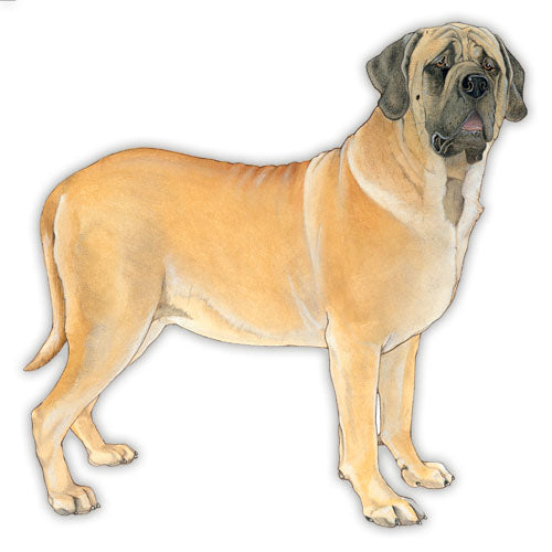 Mastiff Magnet Wooden - Pipsqueakproductions