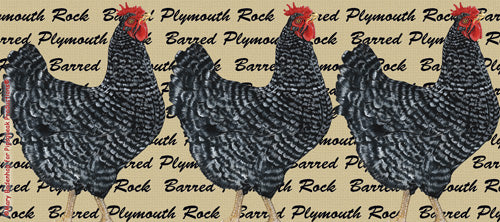 Chicken Barred Plymouth Rock Ceramic Coffee Mug Tea Cup 15 oz - Pipsqueakproductions