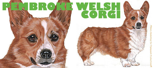Corgi Welsh Pembroke Ceramic Coffee Mug Tea Cup 15 oz - Pipsqueakproductions