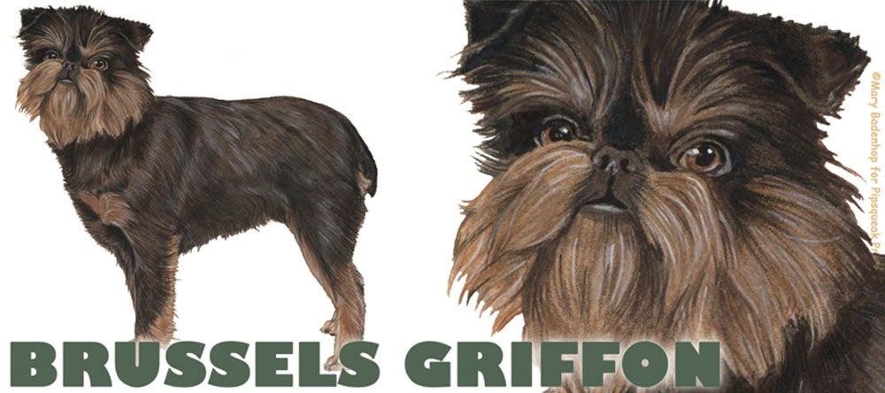 Brussels Griffon Black and Tan, Ceramic Coffee Mug Tea Cup 15 oz