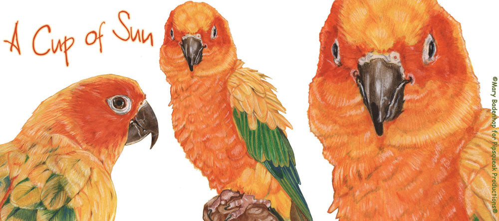 Sun Conure Parrot Ceramic Coffee Mug Tea Cup 15 oz - Pipsqueakproductions
