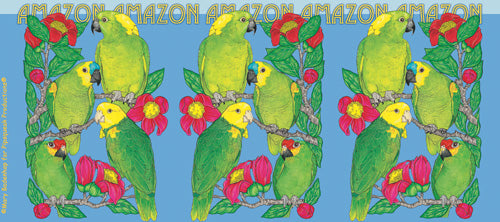 Amazon Parrot Ceramic Coffee Mug Tea Cup 15 oz - Pipsqueakproductions