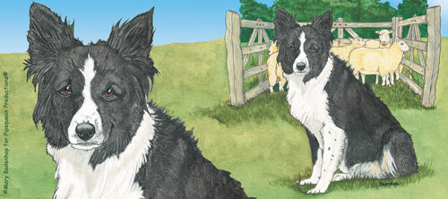 Border Collie Ceramic Coffee Mug Tea Cup 15 oz - Pipsqueakproductions